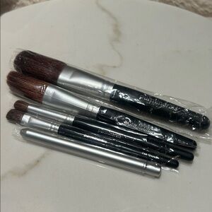 Pur Minerals Mini Brush Set
